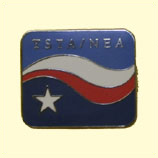 Lapel Pin
